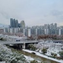 더(The)점빵