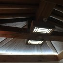 포레스트12 이미지