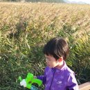 풍미정식당 이미지