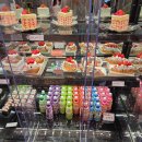 본녹산 | 녹산 신상 대형카페 엠오엘(MOL) | 명지 근처 베이커리 맛집 후기