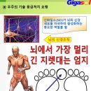 엄지시스템 이미지