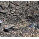 북일면사무소 이미지