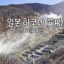 아이와 하코네 여행, 2박3일 하코네 일정