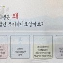 법무법인송원