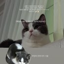 은진 정육점 | 임신 8주~10주 증상 정리 (솔직후기)