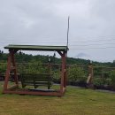 수줍은 언니네 이미지