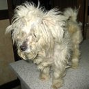 진우농장 이미지