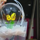소아벌룬 이미지