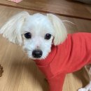 똘이살롱 이미지