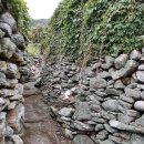 여서도 도아네 식당 이미지