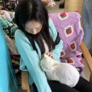 카프리 | [셀리앤리옹&amp;아우어노스텔지아] 울스프링 가디건 카프리팬츠 후기 feat. 비브람 자야 에보