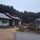 들꽃피는 아침풍경 이미지