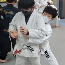 용인대석사특전합기도 이미지