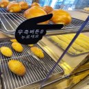 파인숲 | [언양 카페 파인 포레스트 후기]울산 대형 카페 숲뷰 브런치 맛집에서 즐긴 울산 가볼만한곳