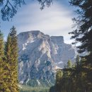 선 행정사사무소 이미지