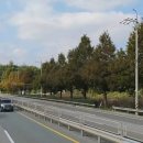 노포사송로 이미지