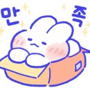 비니펫 이미지