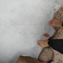 대동사 약수터 이미지