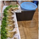 율하체육관 이미지