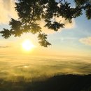 🌄 베트남 안장성의 신비로운 탓선(Thất Sơn) 7개 산 완벽 가이드