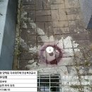 양덕동370 이미지