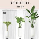 셀렉홈즈