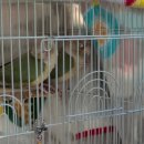 오석헌동물병원 이미지