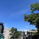 꽁꽁랜드아이스크림할인점독산초점 | [월간일기]8월: 눈부셔 살짝 찌푸린 눈 선글래스