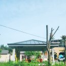 🌳도심 속 힐링🍀, 수원 솔내음캠핑장 숙박후기