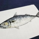 수묵캘리그래피 이미지