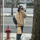 [안국 가볼만한 곳] 스모어마켓, 그랑핸드 향수, 어니언 카페