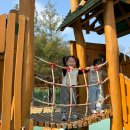 옥천공원 | 양평 아이랑 가볼만한곳 놀이터 | 옥천레포츠공원