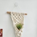 봄맞이 마크라메 식물플랜트 | 전주 마크라메 공방 ' 플랜트 행거 ' 원데이클래스 후기