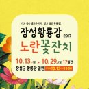 장성 황룡강 노란꽃축제 2017 이미지