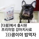 [콩이야 밥먹자] 강아지사료 리얼후기!!