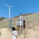 미탄초등학교 | 평창 육백마지기 5월 차로 청옥산 올라가기