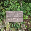 방화동자연휴양림 이미지