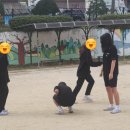 충주중앙중학교 이미지