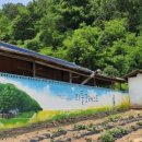 영화5길 이미지