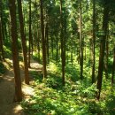 갈모봉산림욕장 이미지