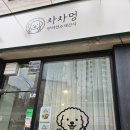 부띠끄멍 수제간식 | 고령견도 잘 먹은 광주 신가동 차차멍 수제간식 후기