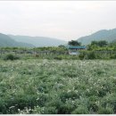 세정농장 이미지