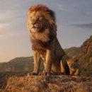 Lion King 이미지