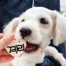 월령경로당 이미지