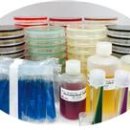 기산바이오(주) 이미지