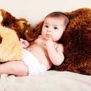 석촌동물병원 이미지