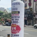 [상무지구 점심] 한우일번지 규이치 식육식당에서 백반 든든하게🍱