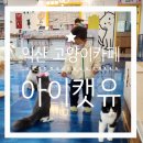 익산 고양이카페 아이캣유 | 익산 아이와 가볼 만한 곳 고양이 카페 아이캣유