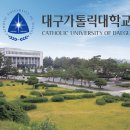 대구가톨릭대학교 이미지