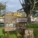 포항여자중학교 | 아이와 함께 가기 좋은 포항 철길숲(feat.2025 힐링필링 포항 철길숲 야행)